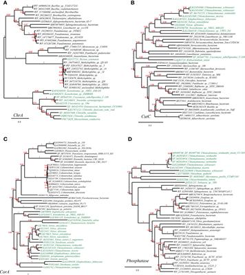 Genome mining reveals abiotic stress resistance genes in plant genomes acquired from microbes via HGT